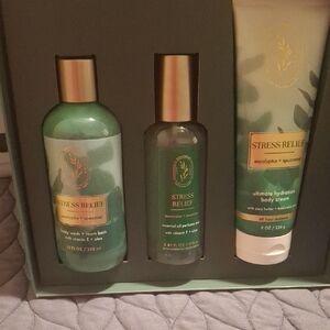 Bath & Body Works Stress Relief Eucalyptus Spearmint Trio